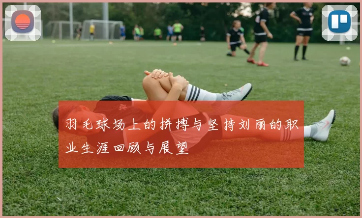 羽毛球场上的拼搏与坚持刘丽的职业生涯回顾与展望