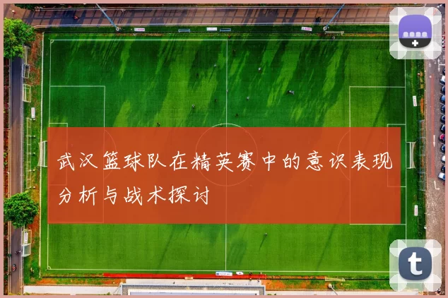 武汉篮球队在精英赛中的意识表现分析与战术探讨