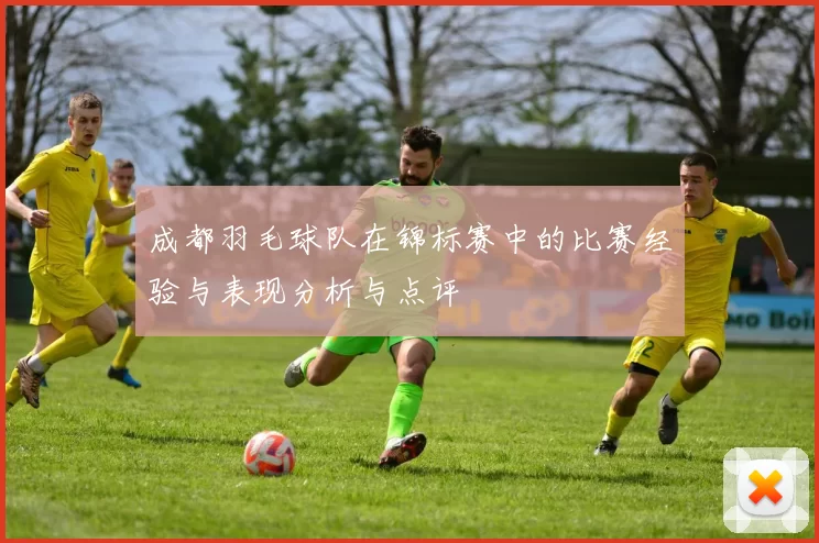成都羽毛球队在锦标赛中的比赛经验与表现分析与点评