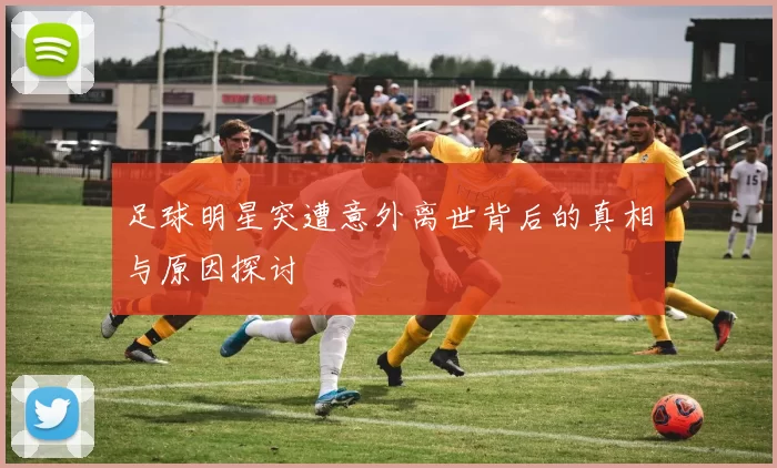 足球明星突遭意外离世背后的真相与原因探讨