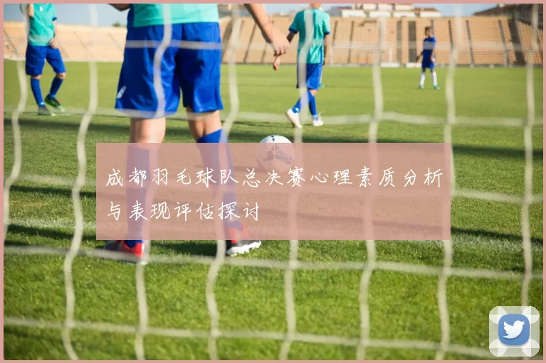成都羽毛球队总决赛心理素质分析与表现评估探讨