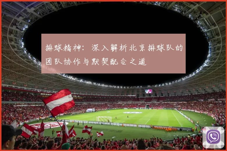 排球精神：深入解析北京排球队的团队协作与默契配合之道