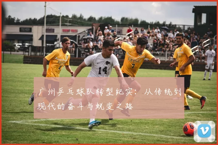 广州乒乓球队转型纪实：从传统到现代的奋斗与蜕变之路