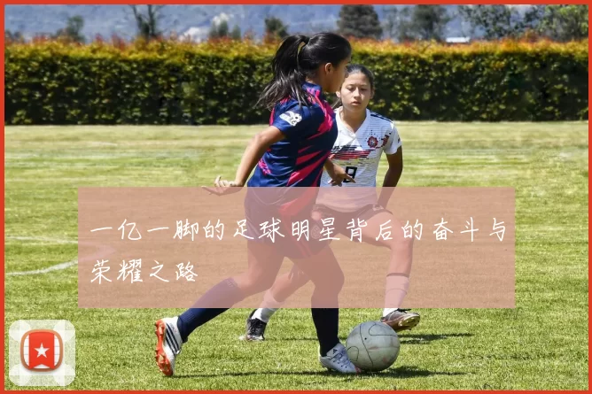 一亿一脚的足球明星背后的奋斗与荣耀之路