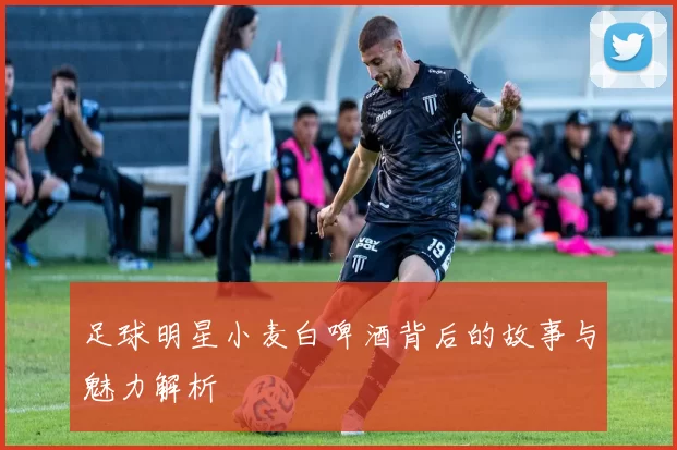 足球明星小麦白啤酒背后的故事与魅力解析