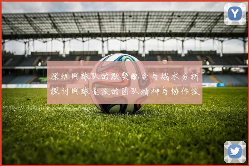 深圳网球队的默契配合与战术分析探讨网球竞技的团队精神与协作技巧