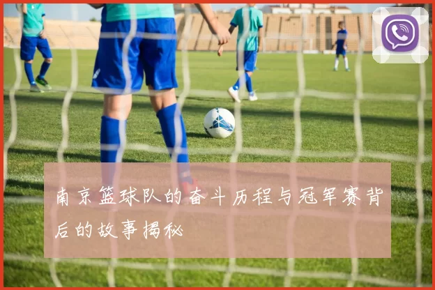 南京篮球队的奋斗历程与冠军赛背后的故事揭秘